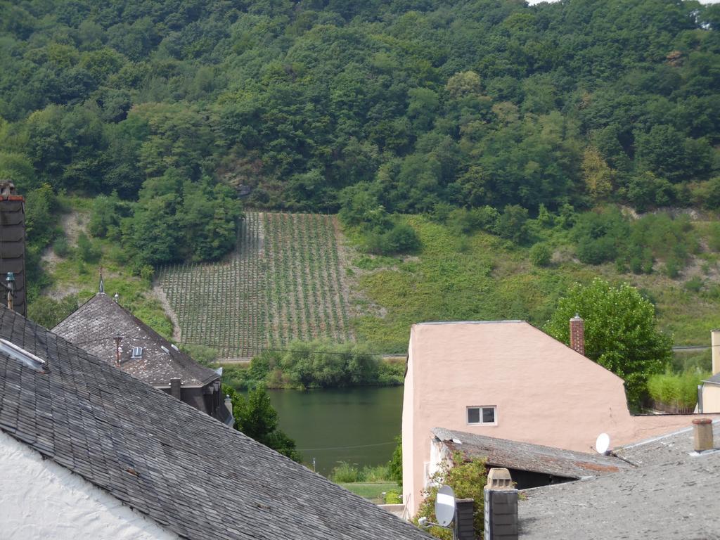 Ferienwohnung In Vino Veritas Neumagen-Dhron Buitenkant foto